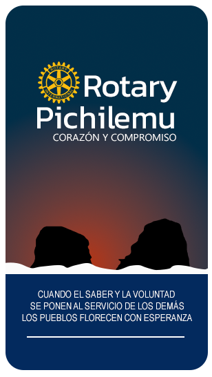 banner vertical